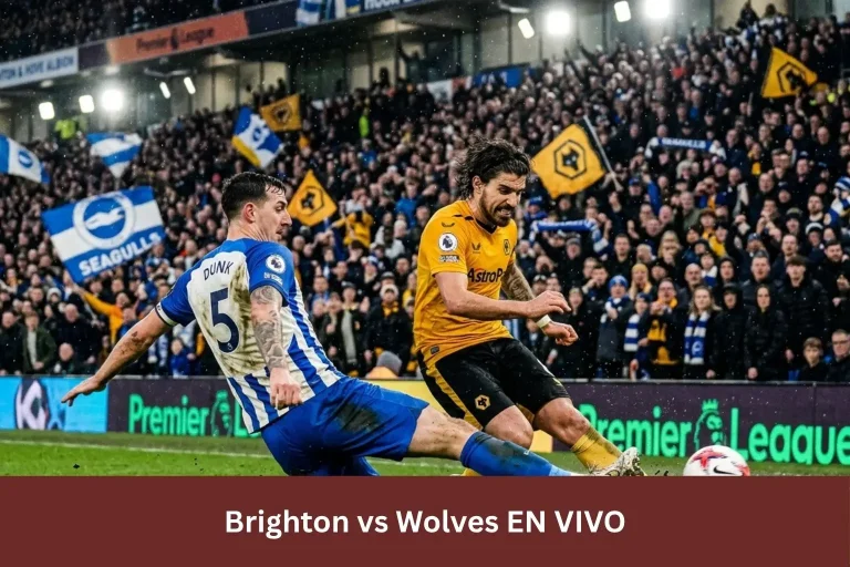 Brighton vs Wolves EN VIVO