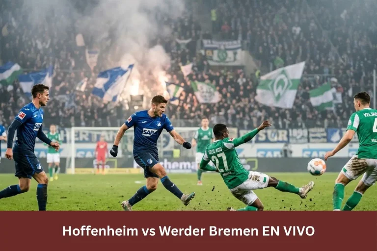 Hoffenheim vs Werder Bremen EN VIVO
