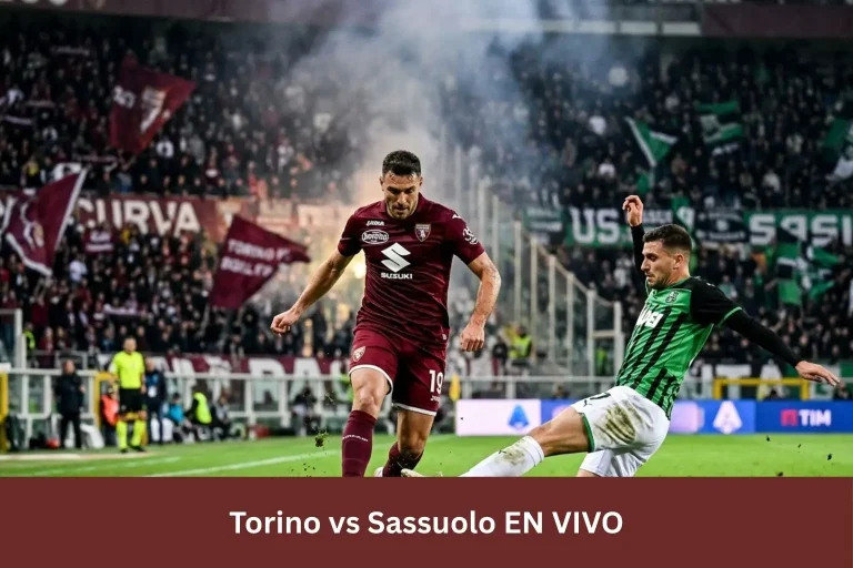 Torino vs Sassuolo EN VIVO